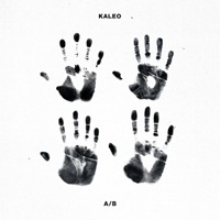 Kaleo - Way Down We Go