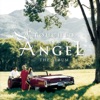 Songs from "Touched By an Angel"