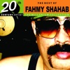 The Best of Fahmy Shahab