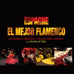 Sangre flamenco