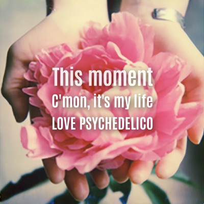 This Moment Love Psychedelico Shazam