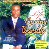 Life Spring Worship - Vol 1 artwork
