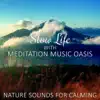 Slow Life with Meditation Music Oasis, Soothing Nature Sounds for Calming, Buddha Healing Bar, Relaxing Music album lyrics, reviews, download