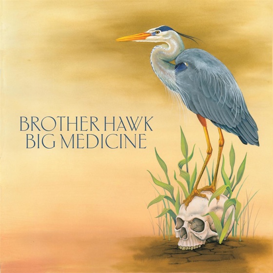 Cover artwork for Half Empty