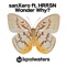Wonder Why? (feat. HRRSN) - SanXero lyrics