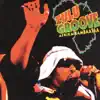 Stream & download Zulu Groove