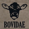 Bovidae