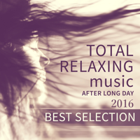 Mindfulness Meditation Music Spa Maestro - 2016 Best Selection: Total Relaxing Music After Long Day, Evening Mindfulness Meditation, Yoga, Spa, Massage artwork