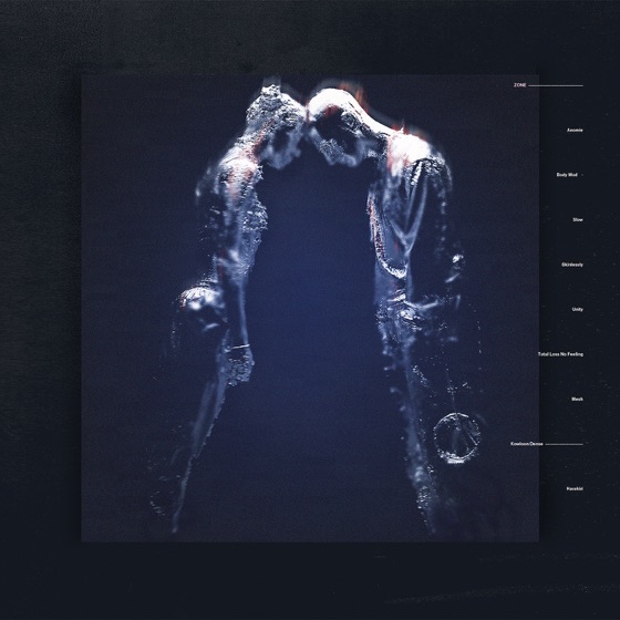 Cover artwork for Anomie