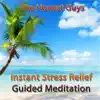 Instant Stress Relief Guided Meditation song lyrics
