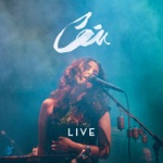 Céu - Concrete Jungle (Live)