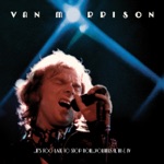 Van Morrison - I've Been Working