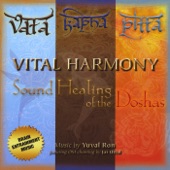 Vital Harmony: Sound Healing of the Doshas artwork