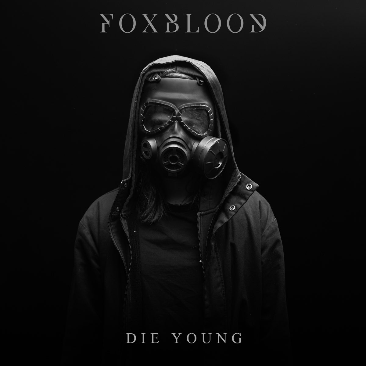 Life die young. Die young Song обложка. Foxblood the Devil the Dark the Rain album.
