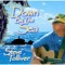 Party in Paradise - Steve Tolliver lyrics