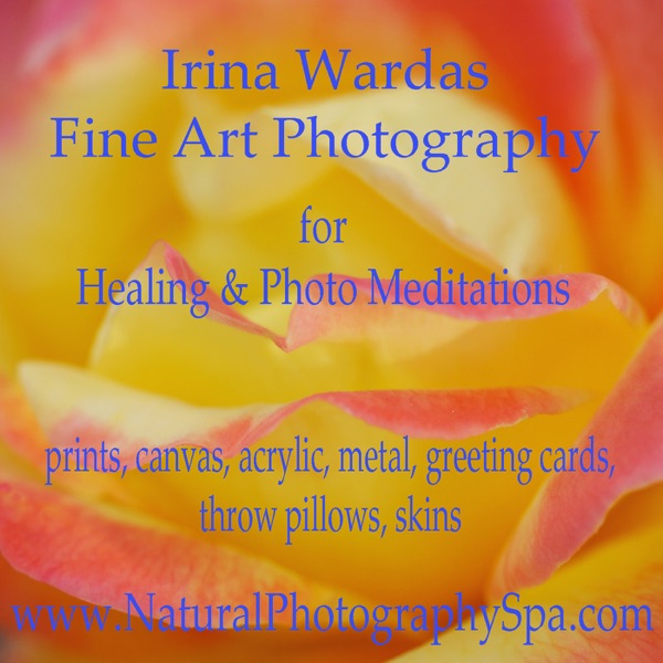 Natural Photography Spa cover