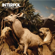 Rest My Chemistry - Interpol