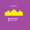 Purple Rain (instrumental Version) song lyrics