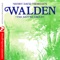 Walden - The Nature Group lyrics