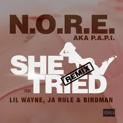 She Tried (Remix) [feat. Lil Wayne, Ja Rule & Birdman] - Single - N.o.r.e.