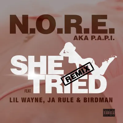 She Tried (Remix) [feat. Lil Wayne, Ja Rule & Birdman] - Single - N.o.r.e.