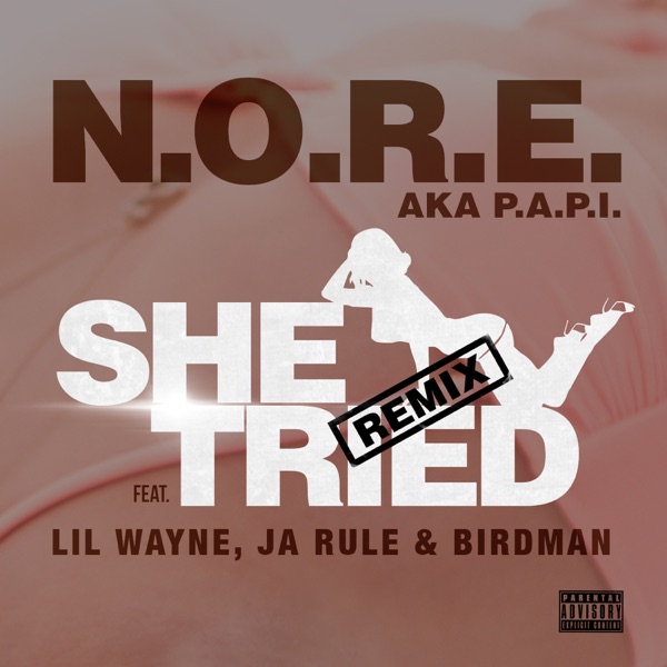She Tried (Remix) [feat. Lil Wayne, Ja Rule & Birdman] - Single - N.O.R.E.