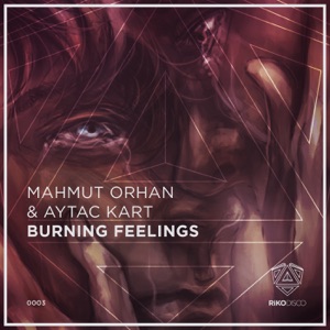 Burning Feelings - Single
