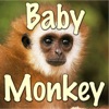 Baby Monkey - Single