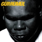 Gurrumul - Wiyathul