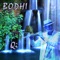 Qi - Bodhi lyrics