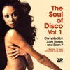 The Soul of Disco Vol.1 compiled by Joey Negro & Sean P, 2005