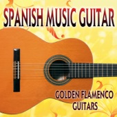 Spanish Music Guitar artwork