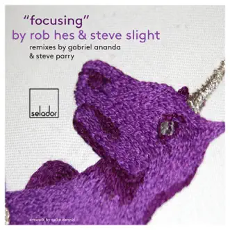 Focusing by Rob Hes & Steve Slight song reviws