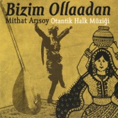 Evlerinin Önü İğde artwork