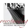 Overstanding (Sir LSG Remix) [feat. Jaidene Veda] song lyrics