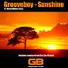 Sunshine - Single album lyrics, reviews, download