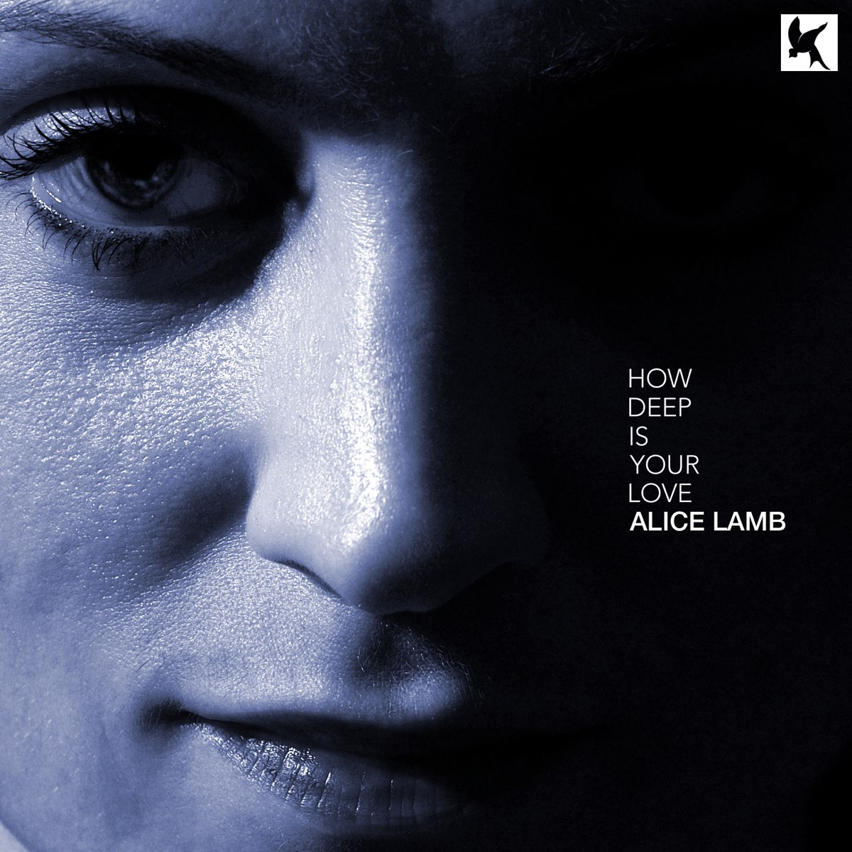 Песня how deep. Alice and a Lamb. How Deep is your Love. Alice Lamb.Philosophy. How Deep is your Love youtube.