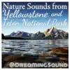 Stream & download Nature Sounds from Yellowstone and Teton National Park (Water Sounds for sleeping, calming, white noise, baby, relaxation, massage, meditation, tinnitus)