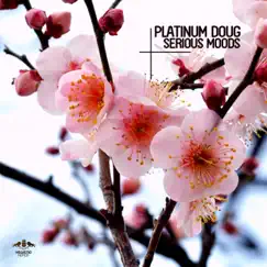 Serious Moods - Single by Platinum Doug album reviews, ratings, credits