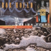 Bob Mould - If You're True (Live)
