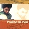 Foi Um Río Que Passou Em Minha Vída - Paulinho da Viola lyrics