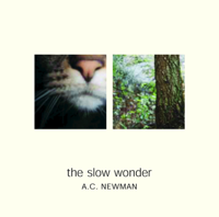 A.C. Newman - The Slow Wonder artwork