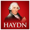 Haydn artwork