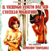 L'uccello migratore (Passeggiata inutile) artwork