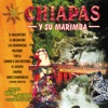 Marimba Brisas Del Grijalba De Humberto Moreno - Palenque