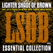 Lighter Shade of Brown - Whatever U Want (feat. D'Wayne Wiggins)