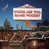 Where Are You, Bambi Woods?