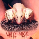 The White Mice - Miceshitjizm