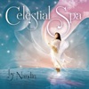 Nandin - Heaven Sent