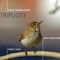 Warbling Warbler (Live) artwork
